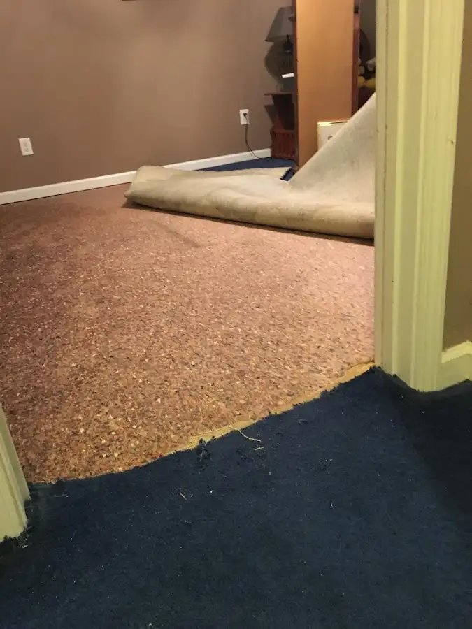 Carpet pad removal revealing water damage during Drying & Dehumidification in Scappoose