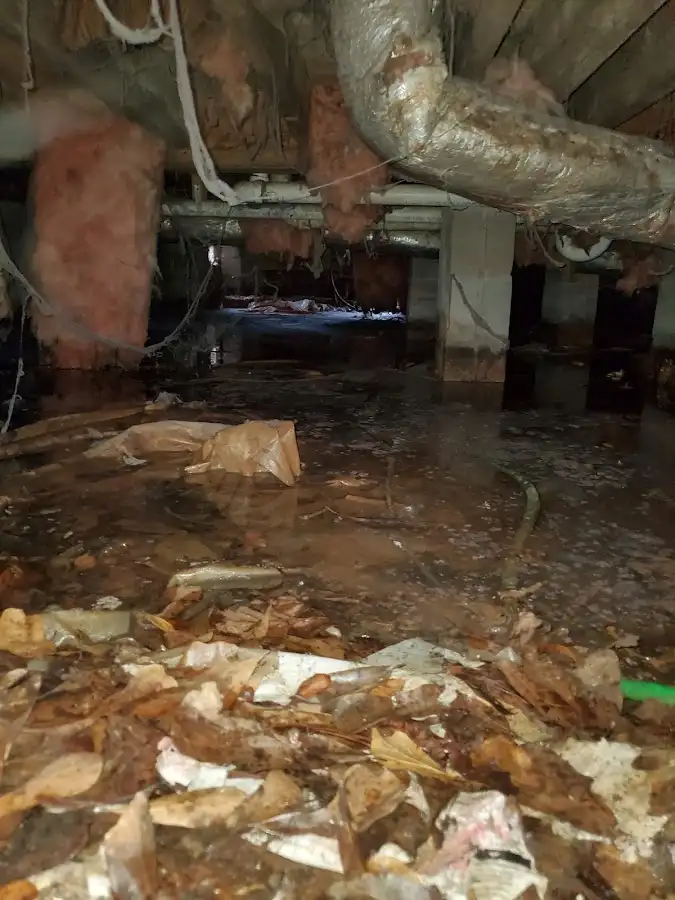 Crawl space flood assessment for Leak Detection & Repair in Scappoose